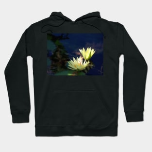 Lily Luminance Hoodie